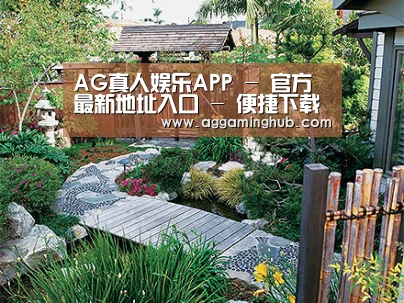 产品展示标题五