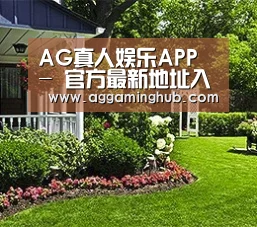 AG真人娱乐APP - 官方最新地址入口 - 便捷下载