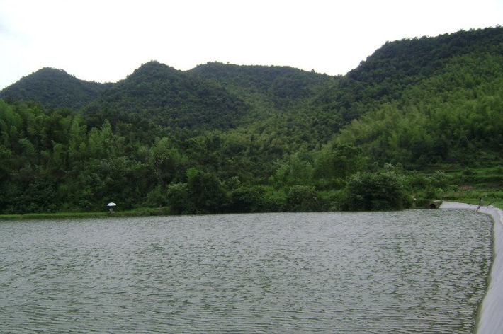 AG地址